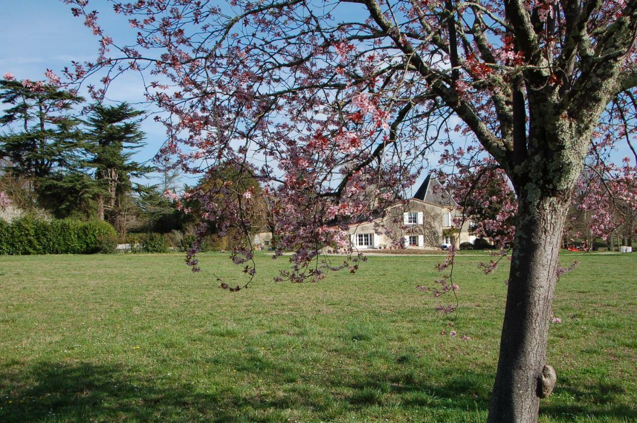 Chateau Ysard Camblanes-et-Meynac Zewnętrze zdjęcie